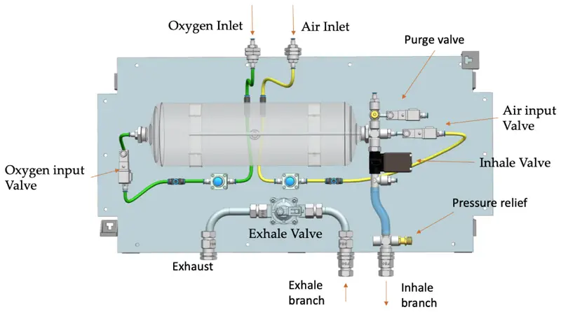 Function of Oxygen Sensors